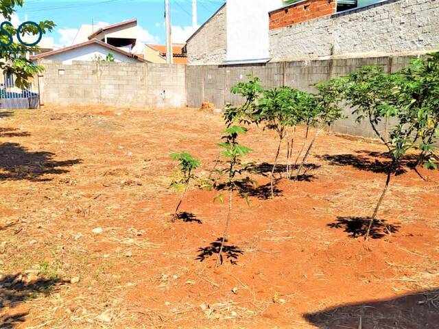 #222780 - Terreno para Venda em Hortolândia - SP - 3